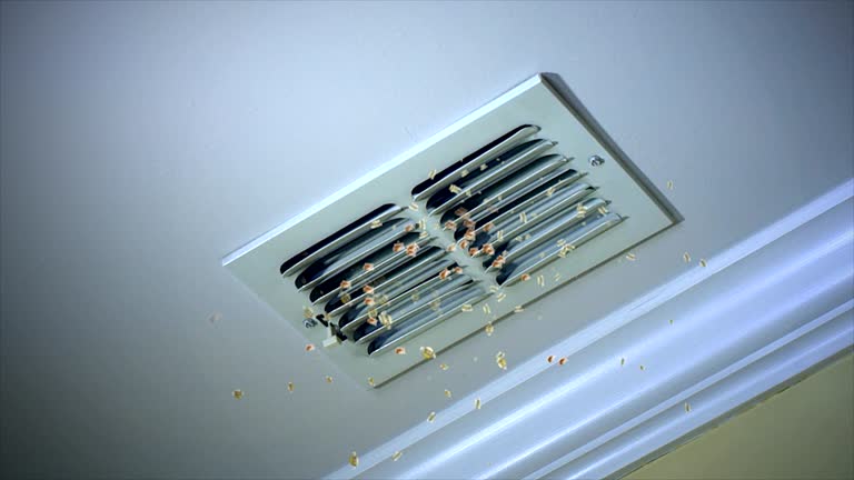 Best Commercial Air Duct Cleaning  in Black Canyon City, AZ
